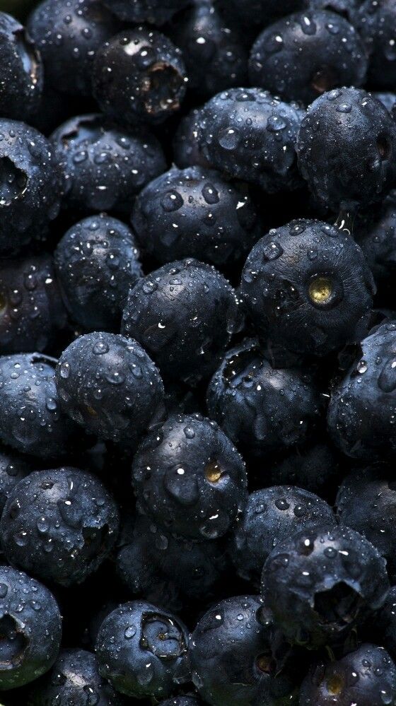 Luminous Skin Collection Box